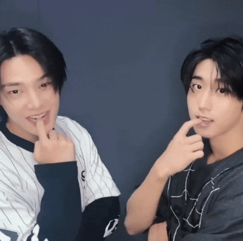 Stray Kids Skz GIF