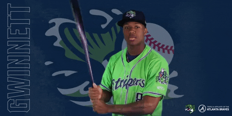 double a acuna jr. GIF by Gwinnett Stripers