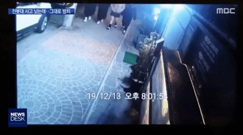 yj_jane giphygifmaker GIF