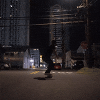 Skate Skateboard GIF by GUNSHIP