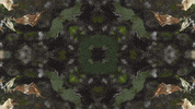 Art Love GIF by jorgemariozuleta