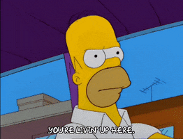 homer simpson episode 10 GIF