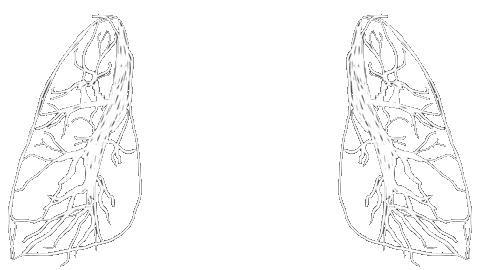 Florence And The Machine Heart Sticker by natscanfly