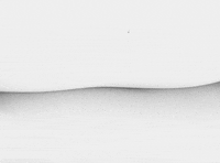 toshio matsumoto funeral procession of roses GIF by Maudit