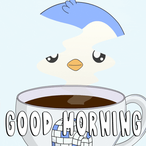 Happy Good Morning GIF by Pudgy Penguins