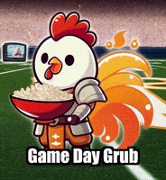 Super Bowl Football GIF by Zorooster