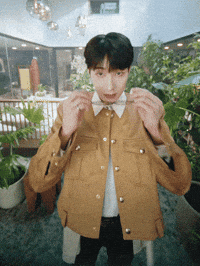 세븐틴 Jeonwonwoo GIF