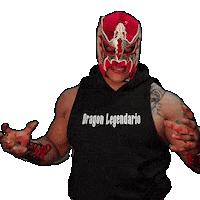 Lucha Libre Wrestling Sticker