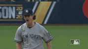 Baseball Screaming GIF by MLB