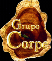 grupocorpe grupocorpe GIF