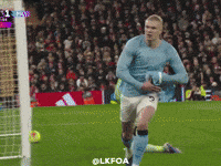 Premier League Football GIF