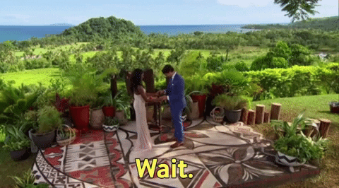 Hula330 giphygifmaker the bachelorette GIF