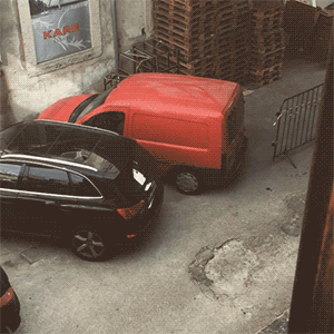 amazing GIF
