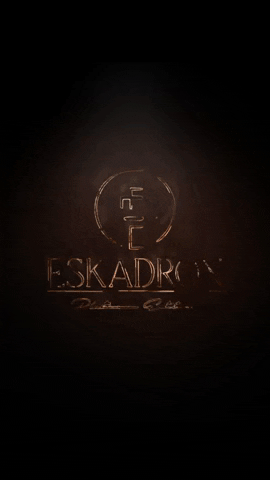 Eskadron GIF by Pikeur