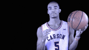 Cnmb GIF by Carson-Newman Athletics