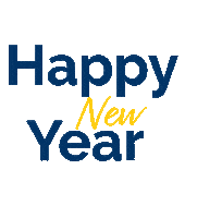 Firework Nye Sticker by vacansoleil