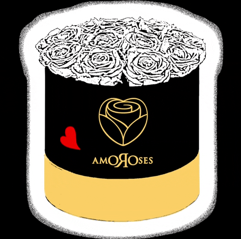 Amoroses giphyattribution white rose rosa GIF