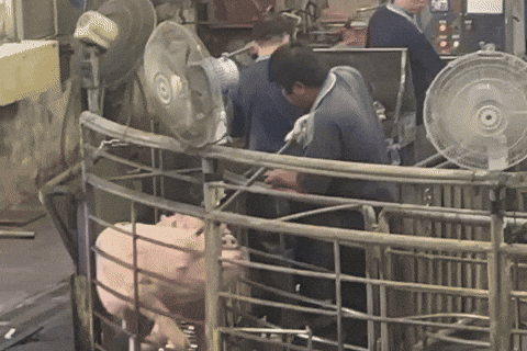 easttw giphyupload GIF