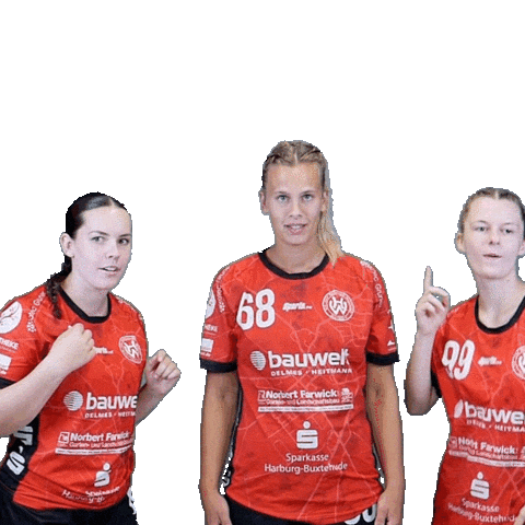 Handball Sticker by Hollenstedt-Handball