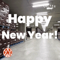 Happy New Year Bier GIF by Truyen
