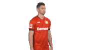 Posing Bayer 04 Sticker by Bundesliga
