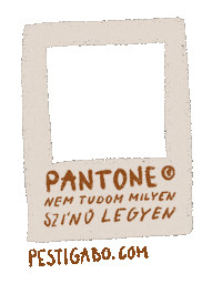 Pesti_Gabo pantone haz lakas lakberendezés Sticker