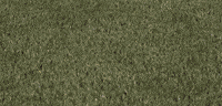 Womens Lacrosse GIF by Lafayette Leopards