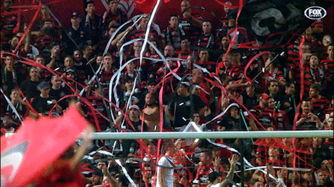 wswanderersfc giphyupload reaction football wanderers GIF