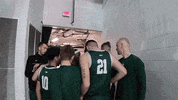 Ncaa Sports Sport GIF by Wright State University Athletics