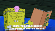 season 9 GIF by SpongeBob SquarePants