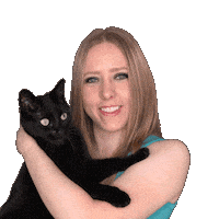 Black Cat Sticker