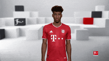 Fc Bayern Yes GIF by Bundesliga