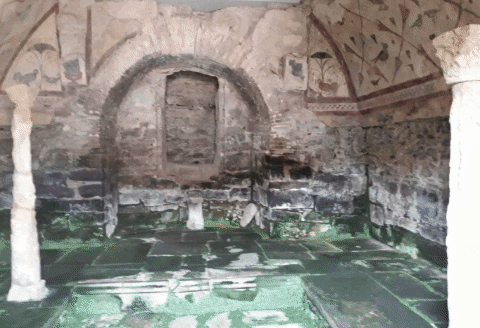 aurorarendopampn giphygifmaker GIF