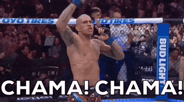 Alex Pereira Sport GIF by UFC