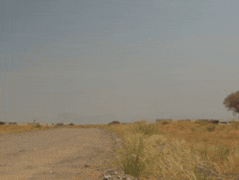KirillStec lost alone desert thirst GIF