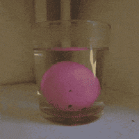 water egg GIF by eevr