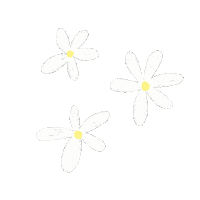 _carmenseijas_ flowers daisy margarita daisies Sticker