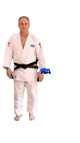 Martial Arts Judo Sticker by NA Effective Fighting