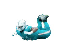 Miami Dolphins Dance Sticker by NFL