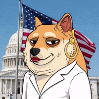 Nft Activist GIF by Doge Pound