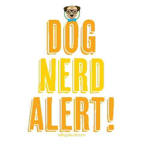 MeganWargula dog instagram dog lover ig feed Sticker