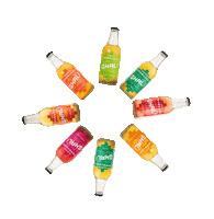 ghalikombucha healthy chile bebida kombucha Sticker