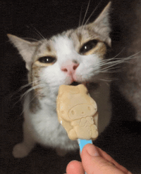 Licking Nom Nom GIF