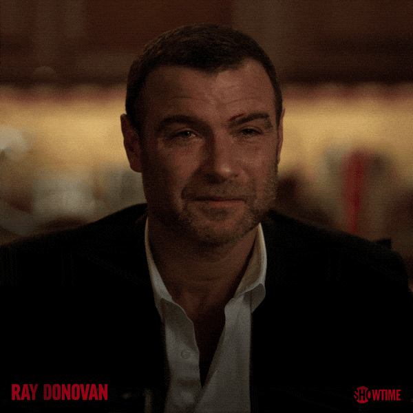 ray donovan thanksgiving GIF by Showtime