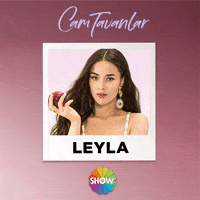 Dizi GIF by Show TV