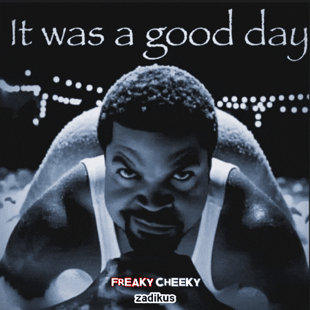 It Was A Good Day Omg GIF