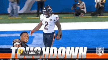 National Football League GIF by NFL