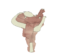 Cowboy Watercolor Sticker by Molly Virginia Morris Photography
