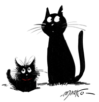 Cat GIF by marko