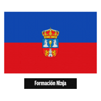 Flag Pixel Art Sticker by Formación Ninja